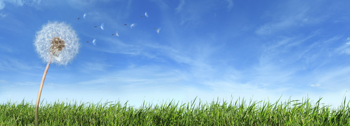 clean air img